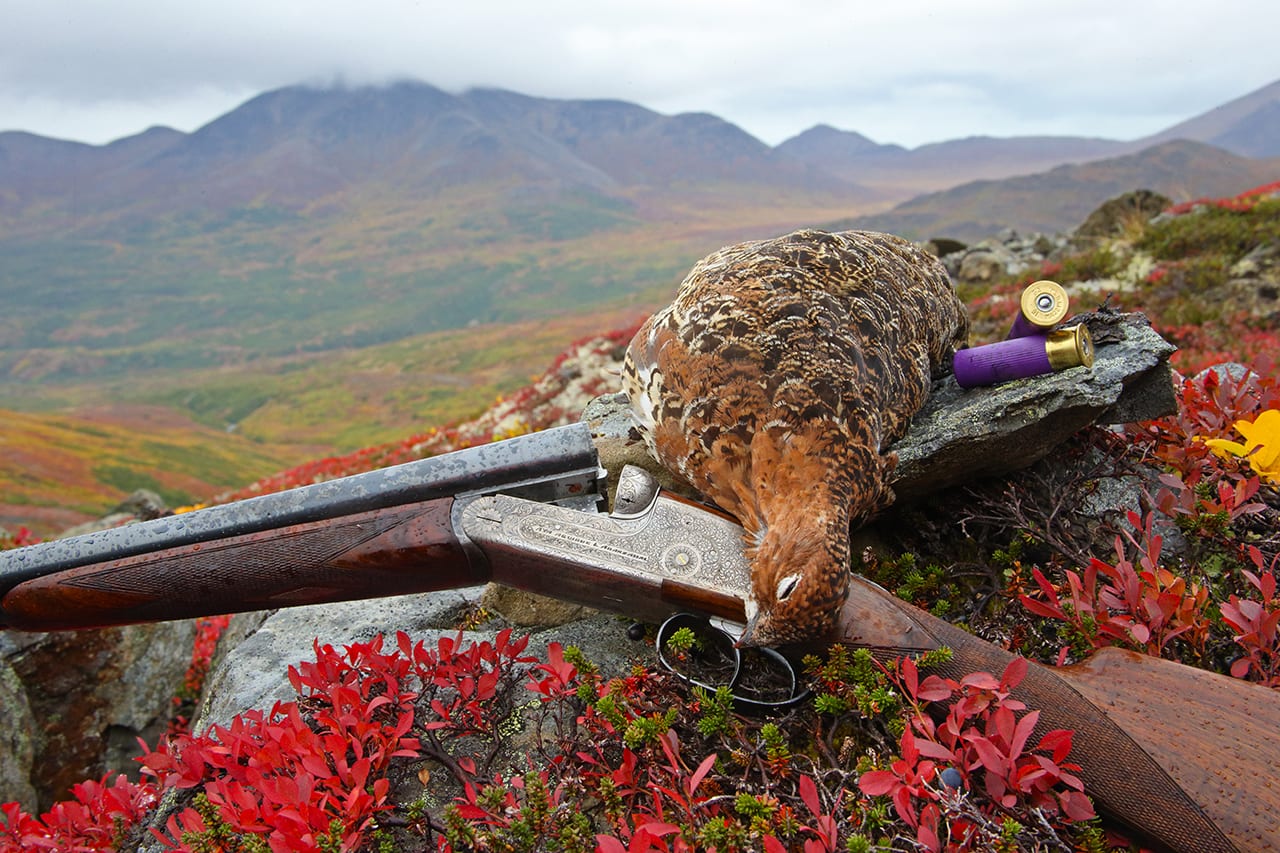 A captured ptarmigan lays on a shotgun nestled on wildflowers.