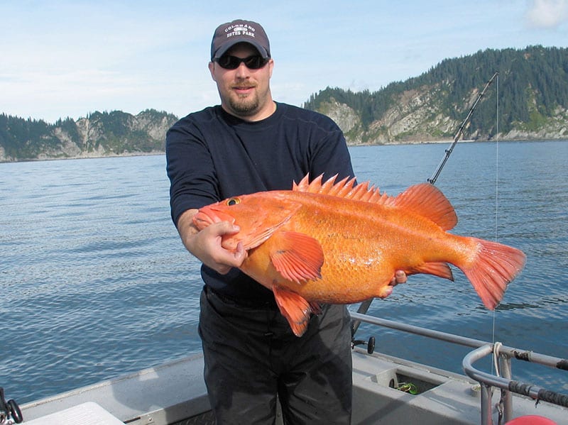 Man poses with really pretty large orange fish