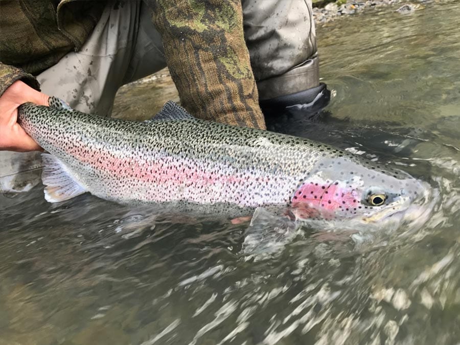 Fly Fishing Float and Hike Trip Packages